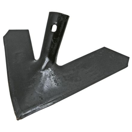  Redlica skrzydełkowa | 00310242